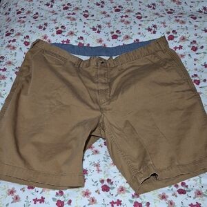 Polo by Ralph Lauren Brown Flat Front Shorts